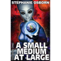 A Small Medium At Large - Paperback
