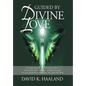 Guided by Divine Love: An Inspiring True Story of a Young Man's Journey Out of the Darkness of Oppression and Discovery of the Inner Light Th - Hardcover
