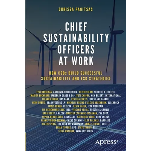 Chief Sustainability Officers at Work: How Csos Build Successful Sustainability and Esg Strategies - Paperback