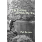 Fly fishing on wild becks - Paperback