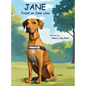 Jane Found on Jane Lane - Hardcover