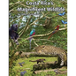 Costa Rica's Magnificent Wildlife - Paperback