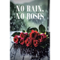 No Rain, No Roses - Paperback