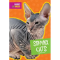 Sphynx Cats - Library Binding