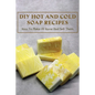 DIY Hot And Cold Soap Recipes: How To Make At Home And Sell Them: Cold Process Vs. Hot Process Soap - Paperback