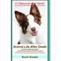 Animal Life After Death & Animal Reincarnation: Pet Loss Answers for all your heart's Questions! - Paperback