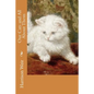 Our Cats and All About Them - Paperback