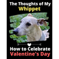The Thoughts of My Whippet: How to Celebrate Valentine's Day - Paperback