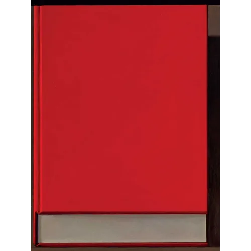 Liu Ye: The Book Paintings - Hardcover