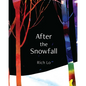 After the Snowfall - Hardcover