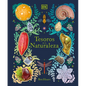 Tesoros de la Naturaleza (Nature's Treasures): Un Viaje Inolvidable Por Los Secretos del Mundo Natural - Hardcover