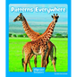 Patterns Everywhere - Paperback