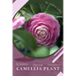 Camellia Plant: Prodigy Petal, Plant Guide - Paperback