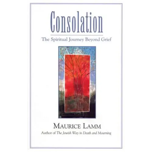 Consolation: The Spiritual Journey Beyond Grief - Paperback