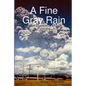 A Fine Gray Rain: In the Shadow of Mount Pinatubo - Paperback