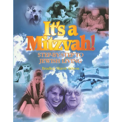 It's a Mitzvah - Paperback