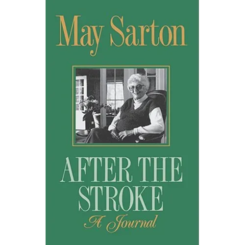 After the Stroke: A Journal - Paperback