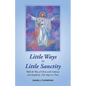 Little Ways to Little Sanctity: Walk the Way of Christ with Littleness and Simplicity...One Step at a Time - Paperback