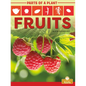 Fruits - Library Binding