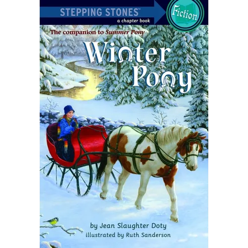 Winter Pony - Paperback