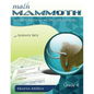 Math Mammoth Grade 6 Skills Review Workbook Answer Key - Paperback