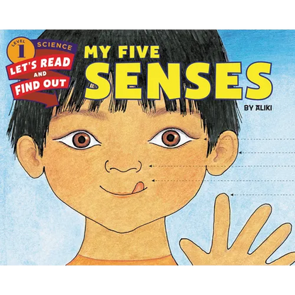 My Five Senses - Paperback