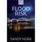 Flood Risk - Paperback