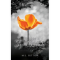 To Lose a Soul Mate - Hardcover