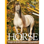 Horse Images for Artist's Reference and Inspiration: Perfect Bound Edition - Paperback