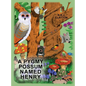 A Pygmy Possum Named Henry - Hardcover