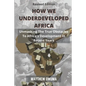 How We Underdeveloped Africa: Unmasking The True Obstacles to Africa's Development in Recent Years - Paperback
