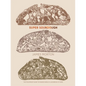 Super Sourdough: The Foolproof Guide to Making World-Class Bread at Home - Hardcover