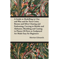 A Guide to Modelling in Clay and Wax: And for Terra Cotta, Bronze and Silver Chasing and Embossing, Carving in Marble and Alabaster, Moulding and Cast - Paperback