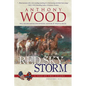 Red Sky Storm: A Story of the Civil War - Paperback