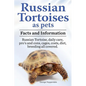 Russian Tortoises as Pets. Russian Tortoise facts and information. Russian tortoises daily care, pro's and cons, cages, diet, costs.: Facts and Inform - Paperback