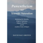 Panentheism and Scientific Naturalism: Rethinking Evil, Morality, Religious Experience, Religious Pluralism, and the Academic Study of Religion - Paperback