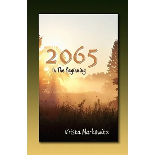 2065 in the Beginning - Paperback