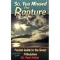 Beyond the Rapture: Guide to the Great Tribulation - Paperback