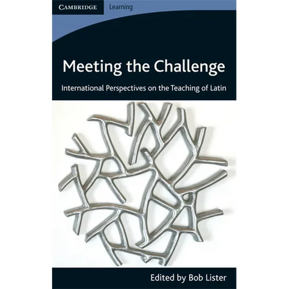 Meeting the Challenge - Paperback