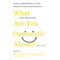 What Are You Optimistic About?: Today's Leading Thinkers on Why Things Are Good and Getting Better - Paperback