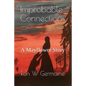Improbable Connections: A Mayflower Story - Paperback
