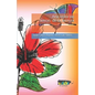 Ana visita las tierras de la ternura - Paperback