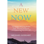 A New Now: Your Guide to Mastering Wisdom Daily, Achieving Equilibrium, and Empowering Your Nobler Self - Hardcover
