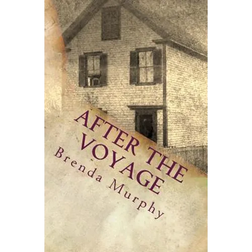 After the Voyage: An Irish American Story - Paperback