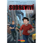 Sobreviví Los Ataques del 11 de Septiembre de 2001 (Graphix) (I Survived the Attacks of September 11, 2001): Volume 4 - Paperback
