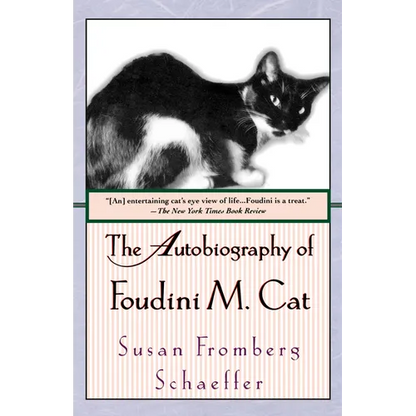 The Autobiography of Foudini M. Cat - Paperback