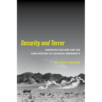 Security and Terror: American Culture and the Long History of Colonial Modernity - Hardcover