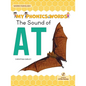 The Sound of at - Paperback