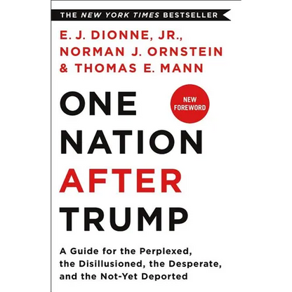 One Nation After Trump: A Guide for the Perplexed, the Disillusioned, the Desperate, and the Not-Yet Deported - Paperback