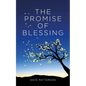 The Promise of Blessing - Paperback
